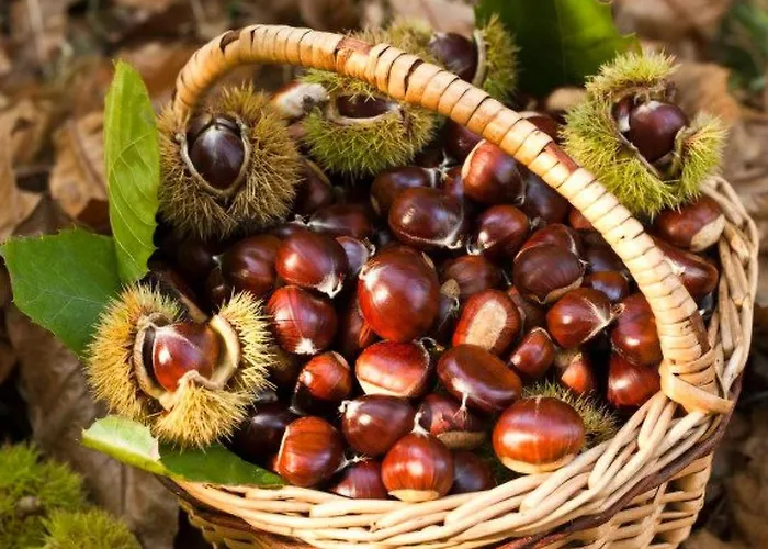 Dachgeschosswohnung Am Fuer 6 Personen By Interhome Daire *